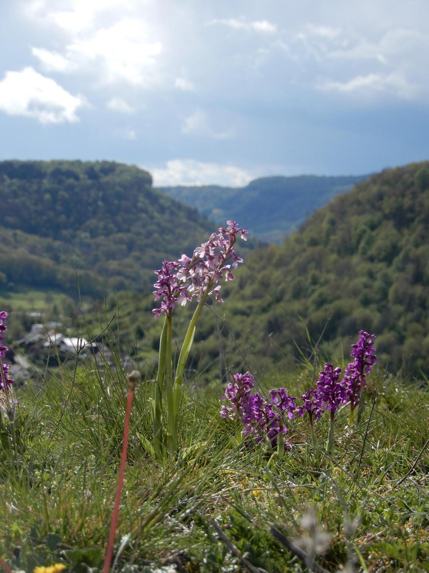 Maison De Vacances - Vue Panoramique Riviere Ornans Zewnętrze zdjęcie